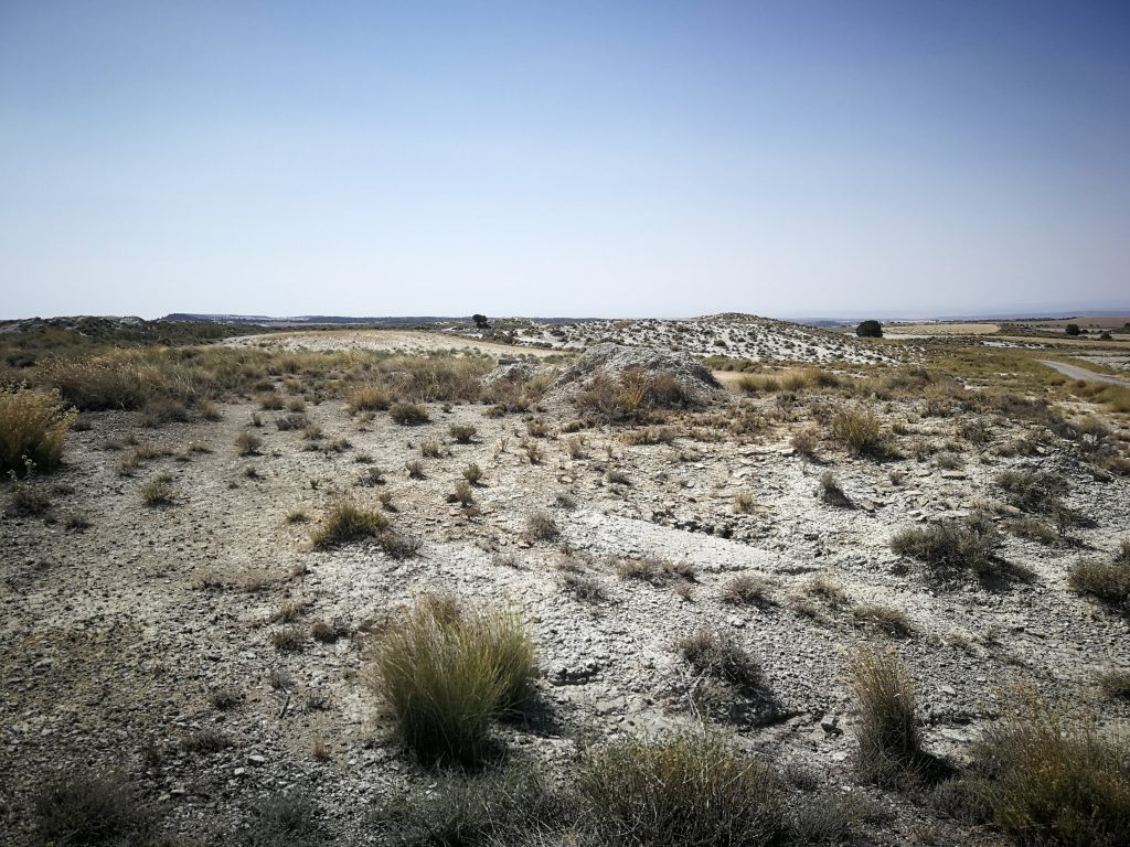 El paisaje de Los Monegros, entre Monegrillo y Farlete.