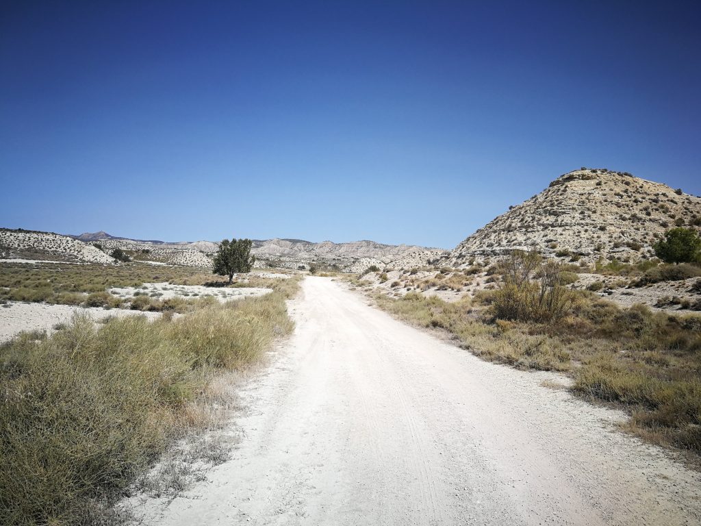 El paisaje de Los Monegros, entre Monegrillo y Farlete.