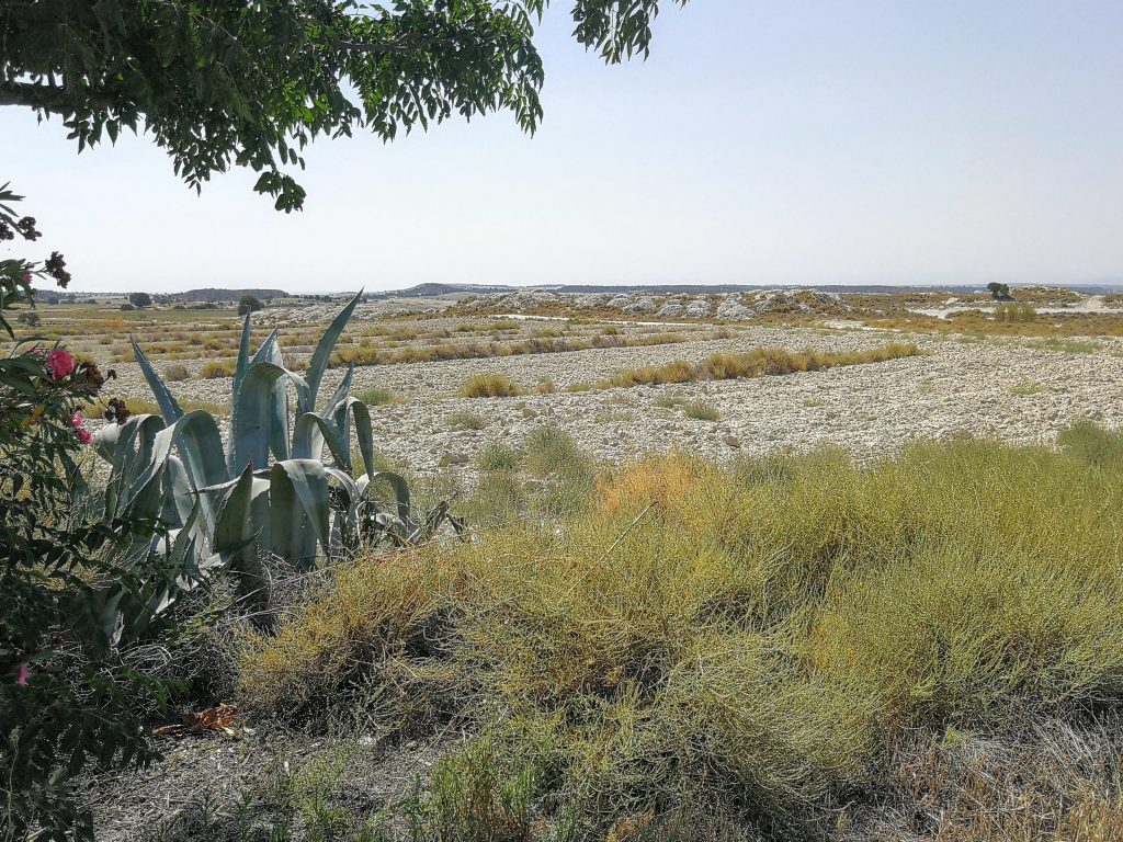 El paisaje de Los Monegros, entre Monegrillo y Farlete.