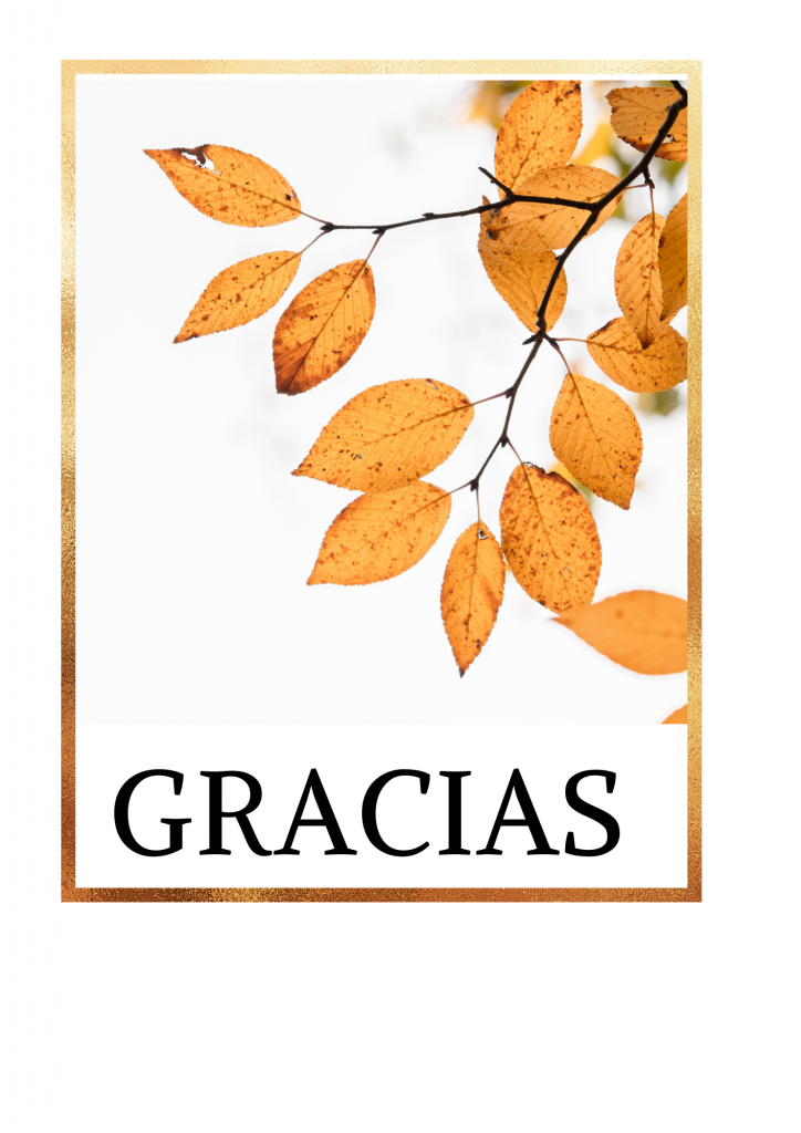 Thanksgiving Day