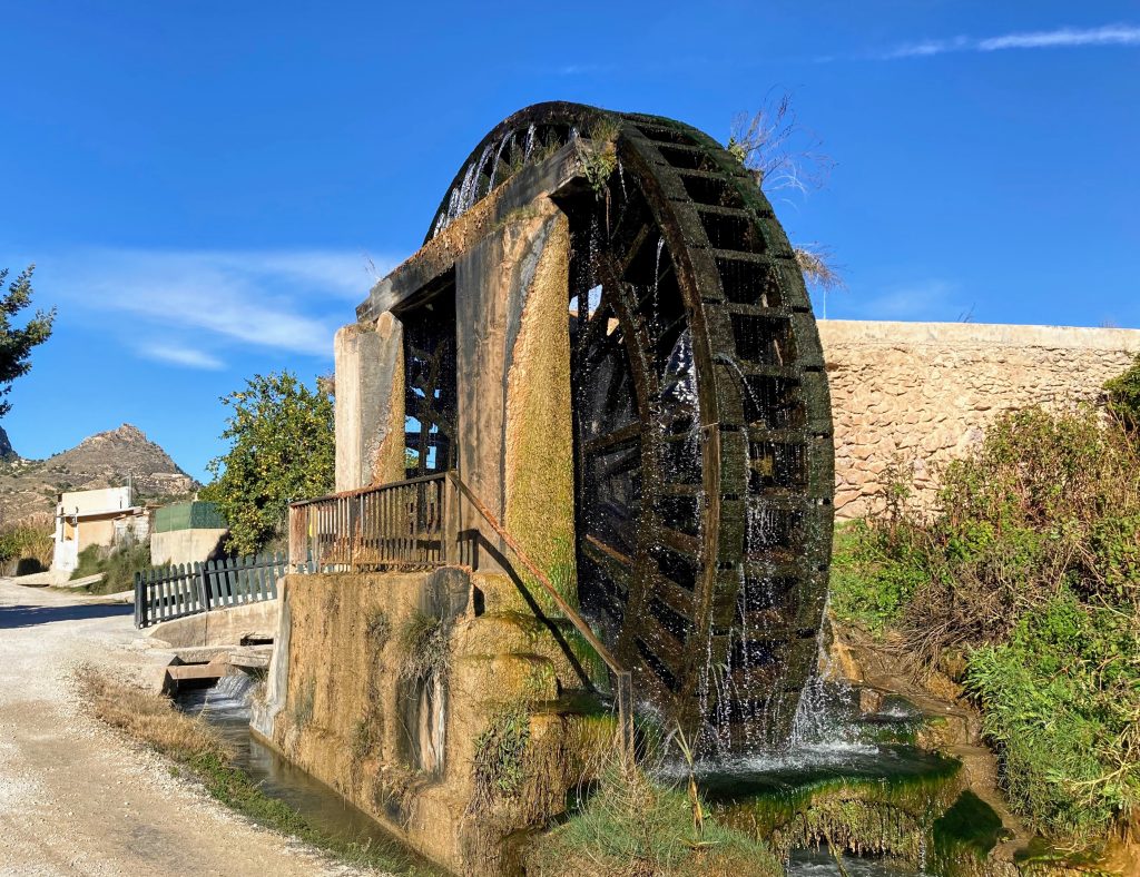 Valle de Ricote: la ruta de las norias.