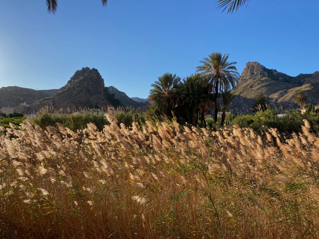 Valle de Ricote

