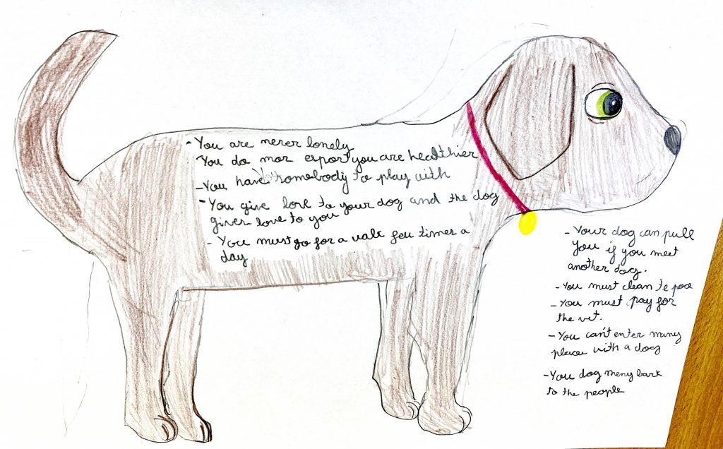 Writing: advantages of having a dog.