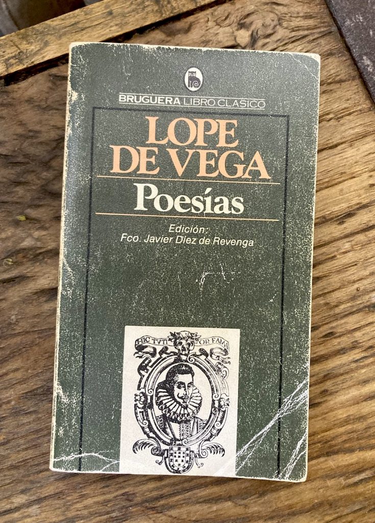 Museo casa de Lope de Vega 