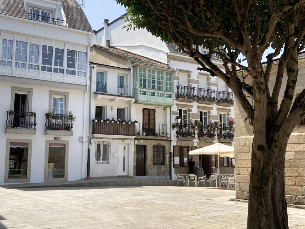 Viveiro