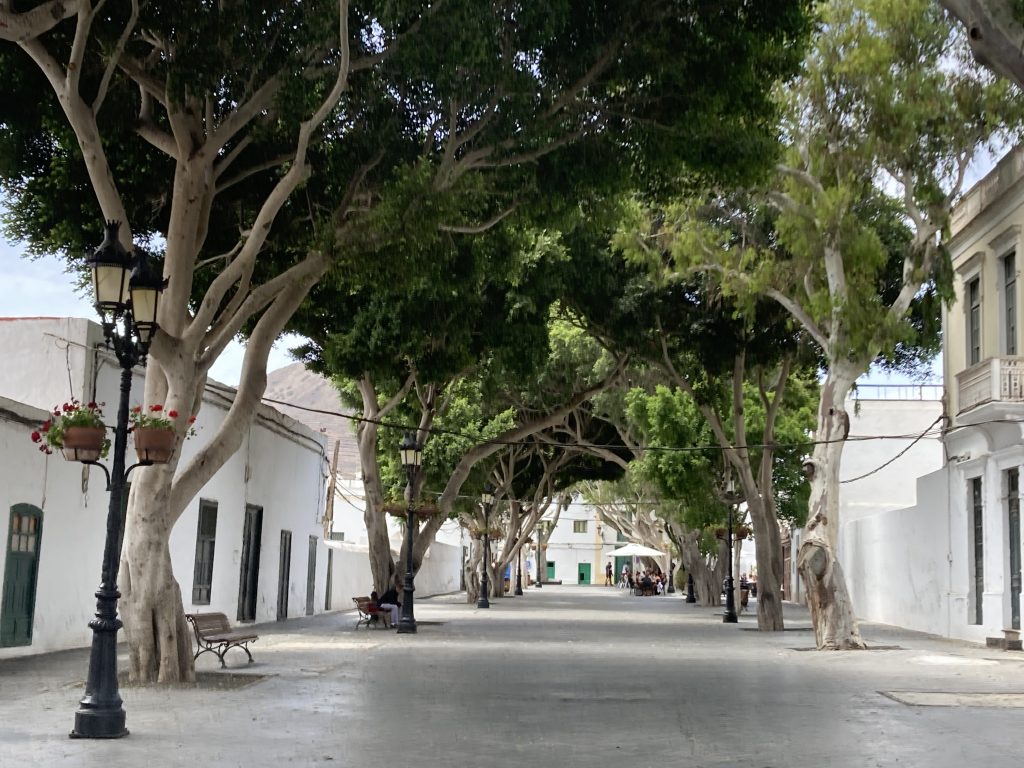 Haría, Lanzarote