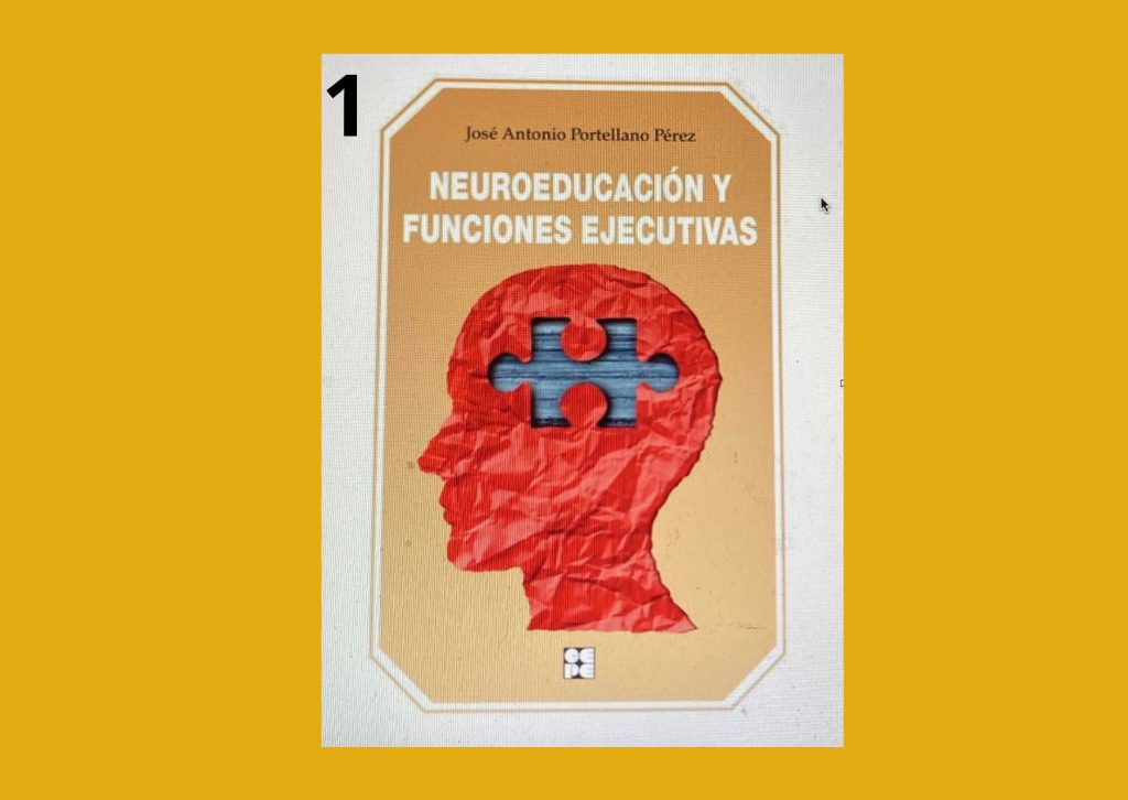 ¿Cómo mejorar la enseñanza desde la neurociencia?